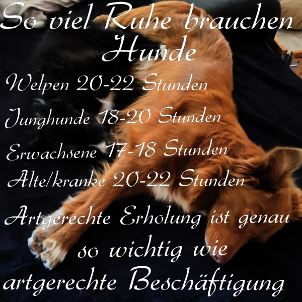 1683092371022